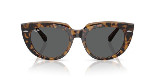 RAY-BAN DOREEN 0RB2286 1292B1 49 Napszemüveg