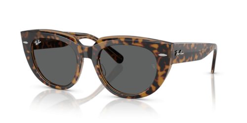 RAY-BAN DOREEN 0RB2286 1292B1 52 Napszemüveg