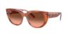 RAY-BAN DOREEN 0RB2286 1413S3 49 Napszemüveg