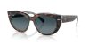 RAY-BAN DOREEN 0RB2286 1413S3 49 Napszemüveg