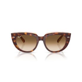 RAY-BAN DOREEN 0RB2286 141451 49 Napszemüveg