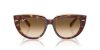 RAY-BAN DOREEN 0RB2286 141451 52 Napszemüveg