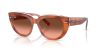RAY-BAN DOREEN 0RB2286 1415A5 49 Napszemüveg