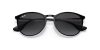 RAY-BAN ERIKA METAL 0RB3539 002/8G 54 Napszemüveg