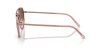 RAY-BAN  0RB3765 9069A5 53 Napszemüveg