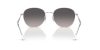 RAY-BAN  0RB3809 003/M3 55 Napszemüveg