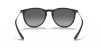 RAY-BAN ERIKA 0RB4171 622/T3 54 Napszemüveg