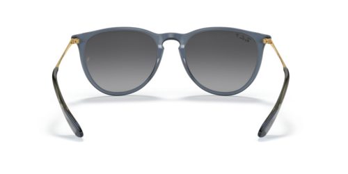 RAY-BAN ERIKA 0RB4171 6592T3 54 Napszemüveg