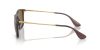 RAY-BAN CHRIS 0RB4187 6593T5 54 Napszemüveg
