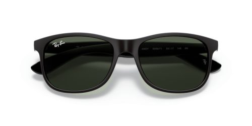 RAY-BAN ANDY 0RB4202 606971 55 Napszemüveg