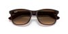 RAY-BAN ANDY 0RB4202 607313 55 Napszemüveg