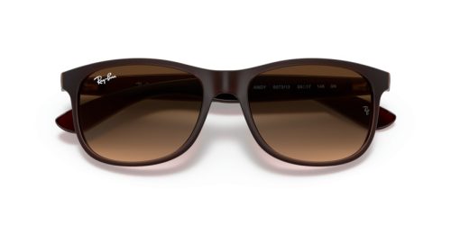 RAY-BAN ANDY 0RB4202 607313 55 Napszemüveg