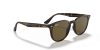 RAY-BAN  0RB4259 710/73 51 Napszemüveg