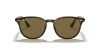 RAY-BAN  0RB4259 710/73 51 Napszemüveg