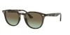 RAY-BAN  0RB4259 731/E8 51 Napszemüveg