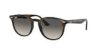 RAY-BAN  0RB4259 731/E8 51 Napszemüveg