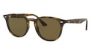 RAY-BAN  0RB4259 731/E8 51 Napszemüveg