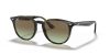 RAY-BAN  0RB4259 731/E8 51 Napszemüveg