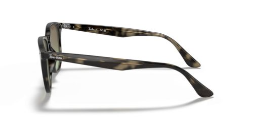 RAY-BAN  0RB4259 731/E8 51 Napszemüveg