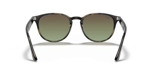 RAY-BAN  0RB4259 731/E8 51 Napszemüveg