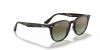 RAY-BAN  0RB4259 731/E8 51 Napszemüveg