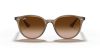 RAY-BAN  0RB4305 616613 53 Napszemüveg