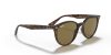 RAY-BAN  0RB4305 710/73 53 Napszemüveg