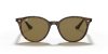RAY-BAN  0RB4305 710/73 53 Napszemüveg