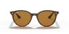 RAY-BAN  0RB4305 710/83 53 Napszemüveg