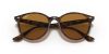 RAY-BAN  0RB4305 710/83 53 Napszemüveg