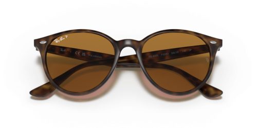 RAY-BAN  0RB4305 710/83 53 Napszemüveg