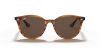 RAY-BAN  0RB4305 820/73 53 Napszemüveg