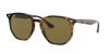 RAY-BAN  0RB4306 601/9A 54 Napszemüveg