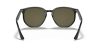 RAY-BAN  0RB4306 601/9A 54 Napszemüveg