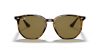 RAY-BAN  0RB4306 710/73 54 Napszemüveg