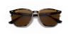 RAY-BAN  0RB4306 710/83 54 Napszemüveg