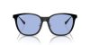 RAY-BAN  0RB4333D 674680 55 Napszemüveg