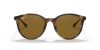 RAY-BAN  0RB4334D 710/83 55 Napszemüveg