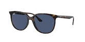 RAY-BAN  0RB4378 601/8G 54 Napszemüveg