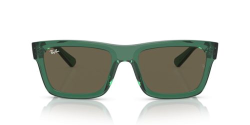 RAY-BAN WARREN 0RB4396 6681/3 54 Napszemüveg