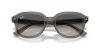 RAY-BAN ERIK 0RB4398 667571 53 Napszemüveg