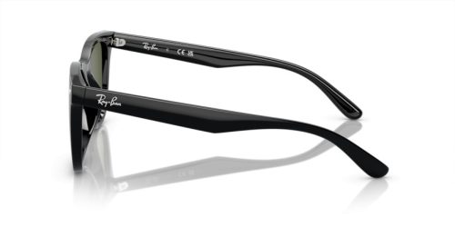 RAY-BAN  0RB4420 601/9A 65 Napszemüveg