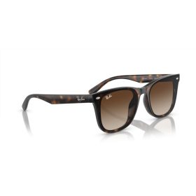 RAY-BAN  0RB4420 710/13 65 Napszemüveg