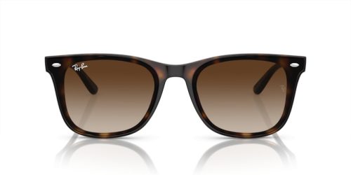 RAY-BAN  0RB4420 710/13 65 Napszemüveg