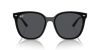 RAY-BAN  0RB4423D 601/87 66 Napszemüveg