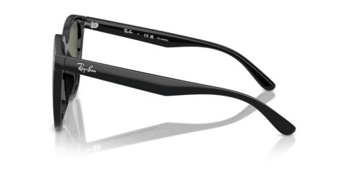 RAY-BAN  0RB4423D 601/9A 66 Napszemüveg