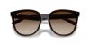 RAY-BAN  0RB4423D 714/13 66 Napszemüveg