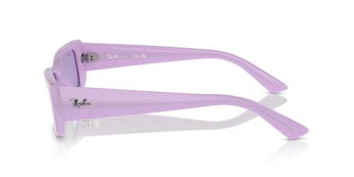RAY-BAN TERU 0RB4425 67581A 54 Napszemüveg