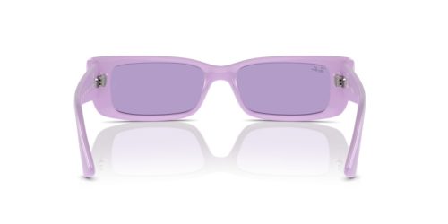 RAY-BAN TERU 0RB4425 67581A 54 Napszemüveg