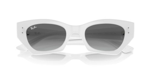 RAY-BAN ZENA 0RB4430 675911 49 Napszemüveg